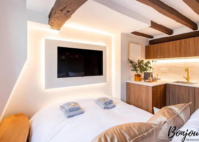 Super Designer One-bedroom - Marais - Free Parking *